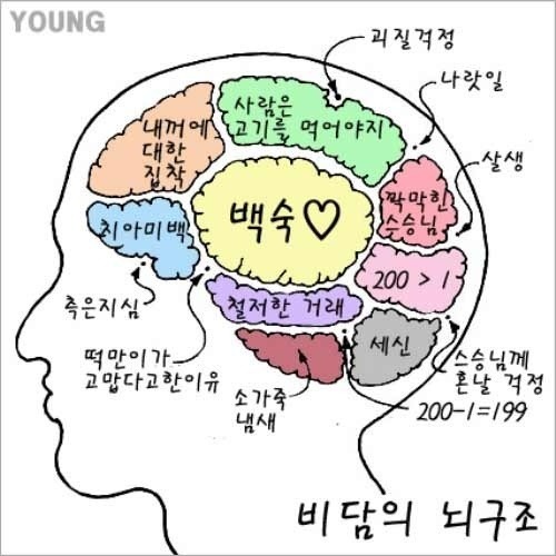 비담은 이미지